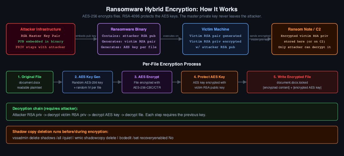 Ransomware hybrid encryption diagram showing AES-256 file encryption protected by RSA-4096 key hierarchy